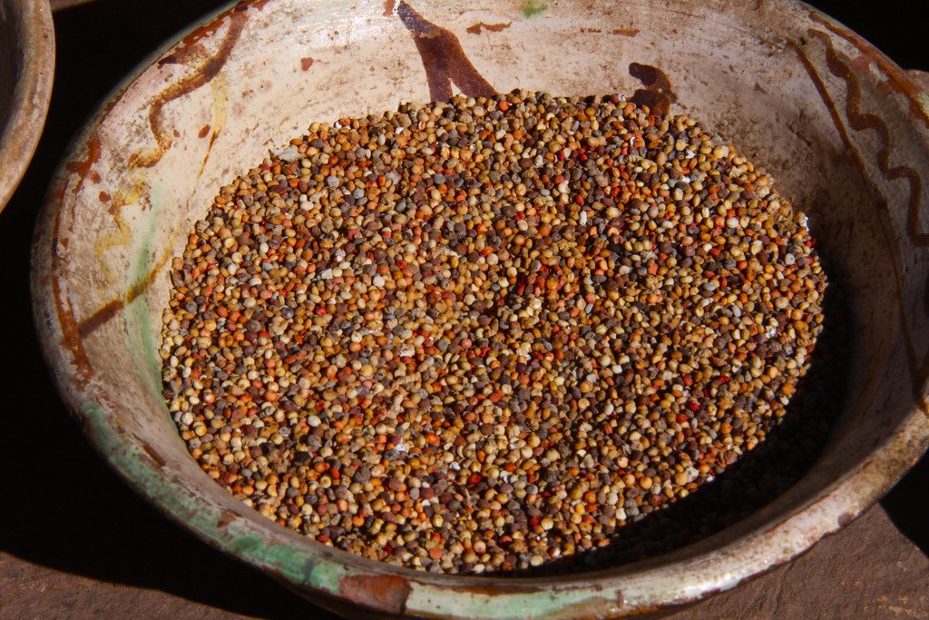 Seeds of the Andes: Peruvian food that changed the World